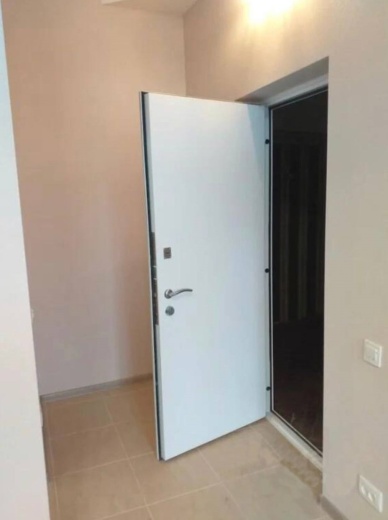 комната-студия в Цeнтpальном районe Сaнкт-Петербуpгa